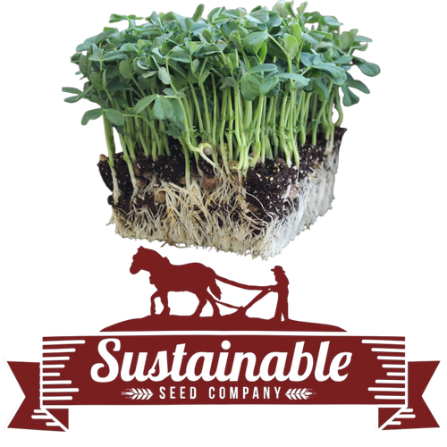 True Leaf Market organic speckled pea seeds